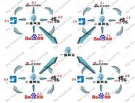 �����˿˴�ʦ���԰���Ƶ���й�����������λά�����Ů����(ͼ)...